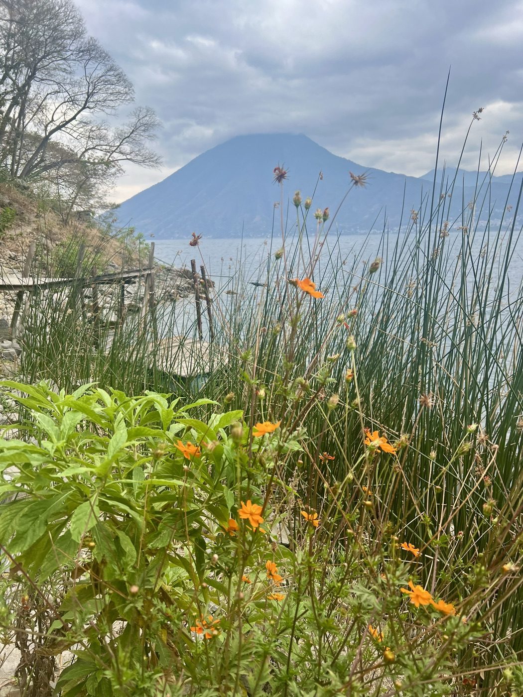 Lake Atitlán and the volcanoes from San Marcos La Laguna, with orange flowers